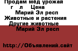 Продам мёд урожай 2017г. 3л. › Цена ­ 1 700 - Марий Эл респ. Животные и растения » Другие животные   . Марий Эл респ.